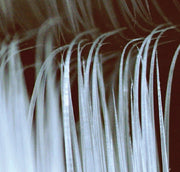 Brins de brosse à dents : souple ou dur ? Le guide comparatif Oral B, Sonicare, My Variation, Curaprox, Edelwhite