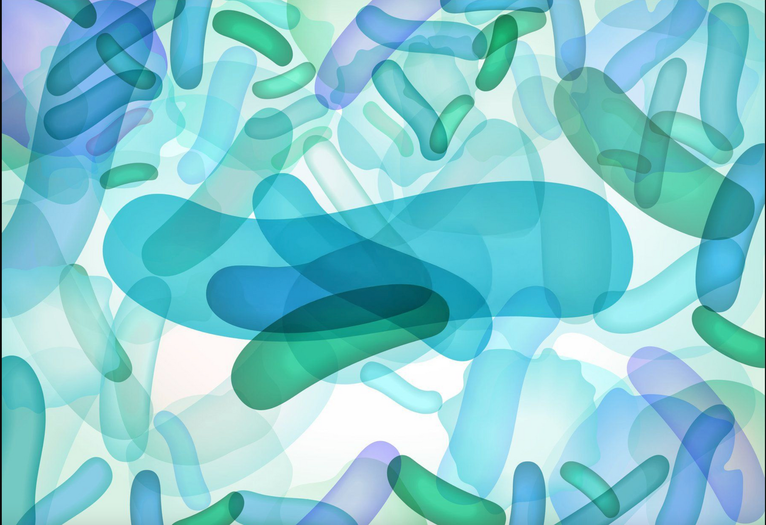 Probiotiques et Anti-Biofilm : Un Nouveau Paradigme en Santé Bucco-Dentaire