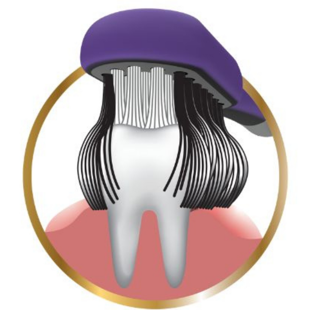 CleanCurl 3D Brosse à dents pour Implants, bagues et prothèses