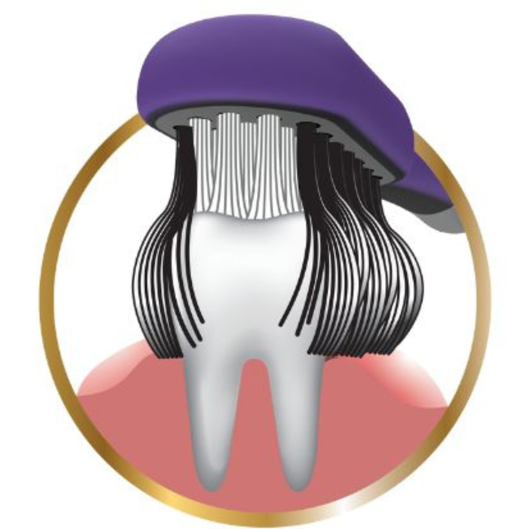 CleanCurl 3D Brosse à dents pour Implants, bagues et prothèses
