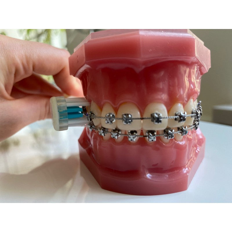 Pro Ortho Brosse à Dents